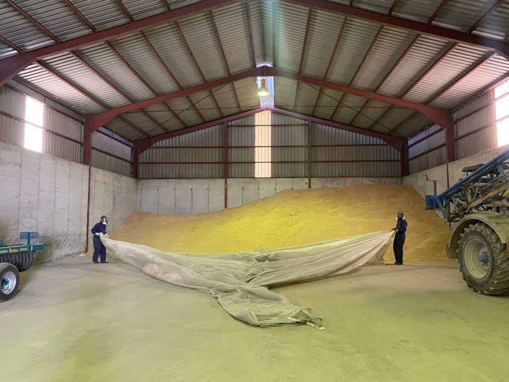 Fumigación insectos en productos almacenados